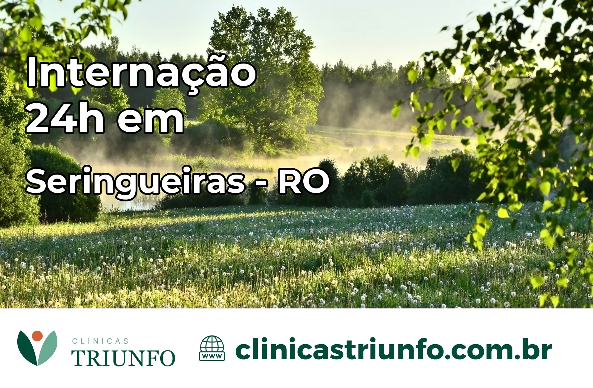 Internação 24 horas em Seringueiras – RO