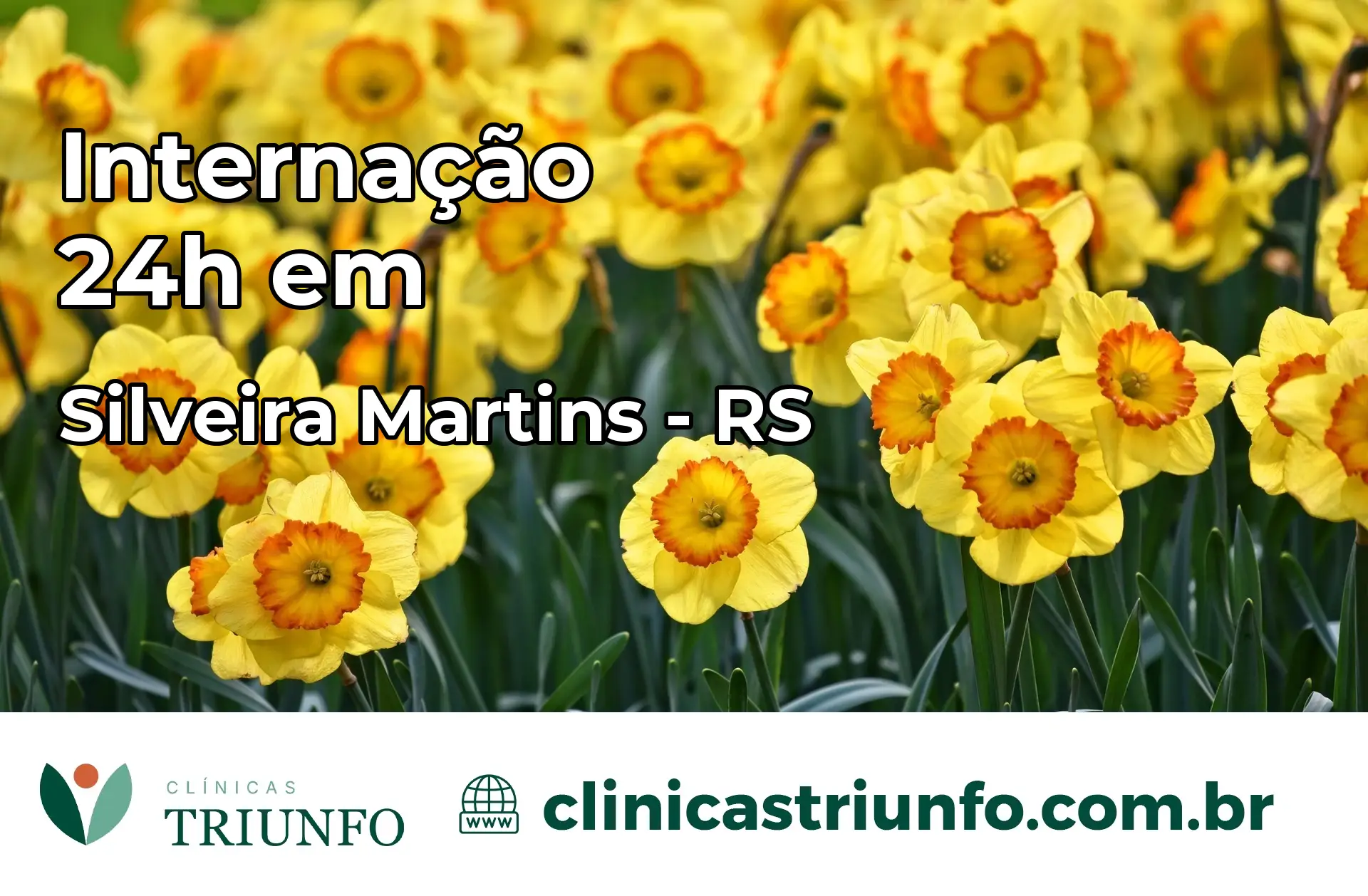 Internação 24 horas em Silveira Martins – RS
