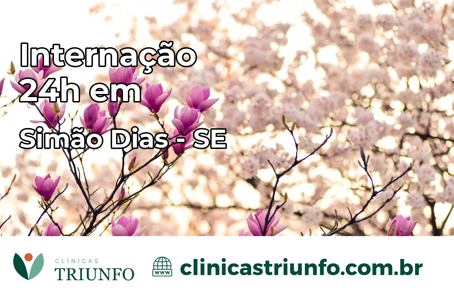 Internação 24 horas em Simão Dias – SE
