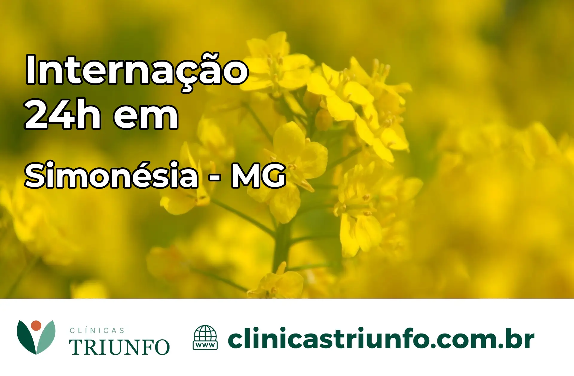 Internação 24 horas em Simonésia – MG
