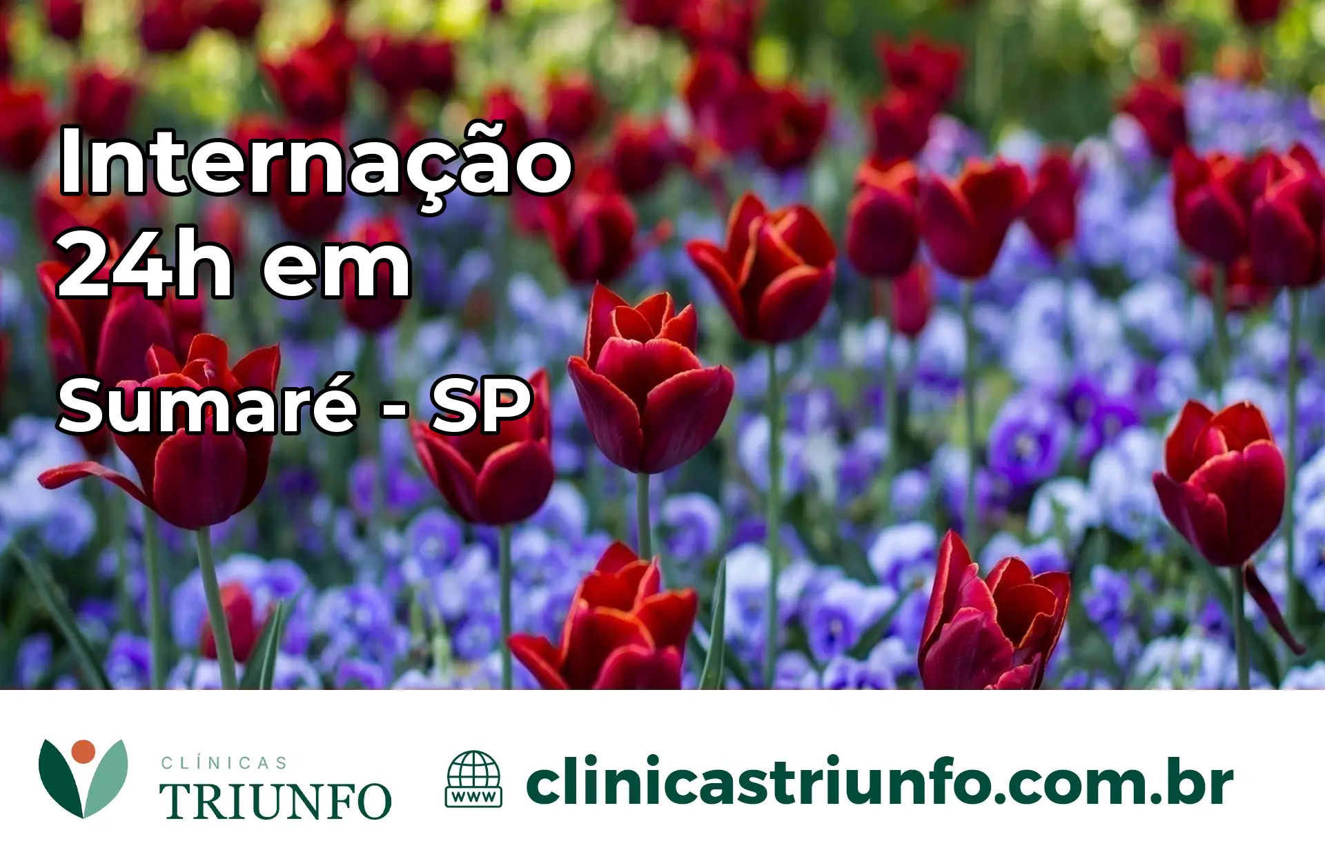 Internação 24 horas em Sumaré – SP
