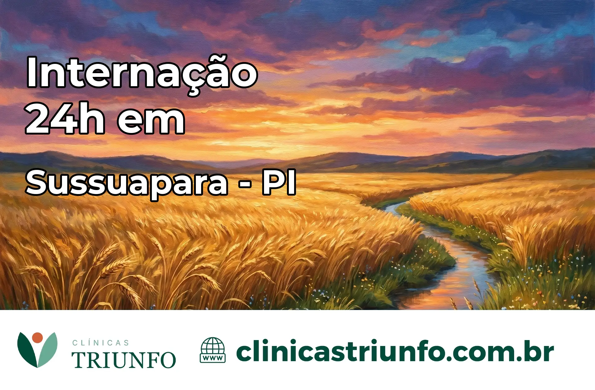 Internação 24 horas em Sussuapara – PI