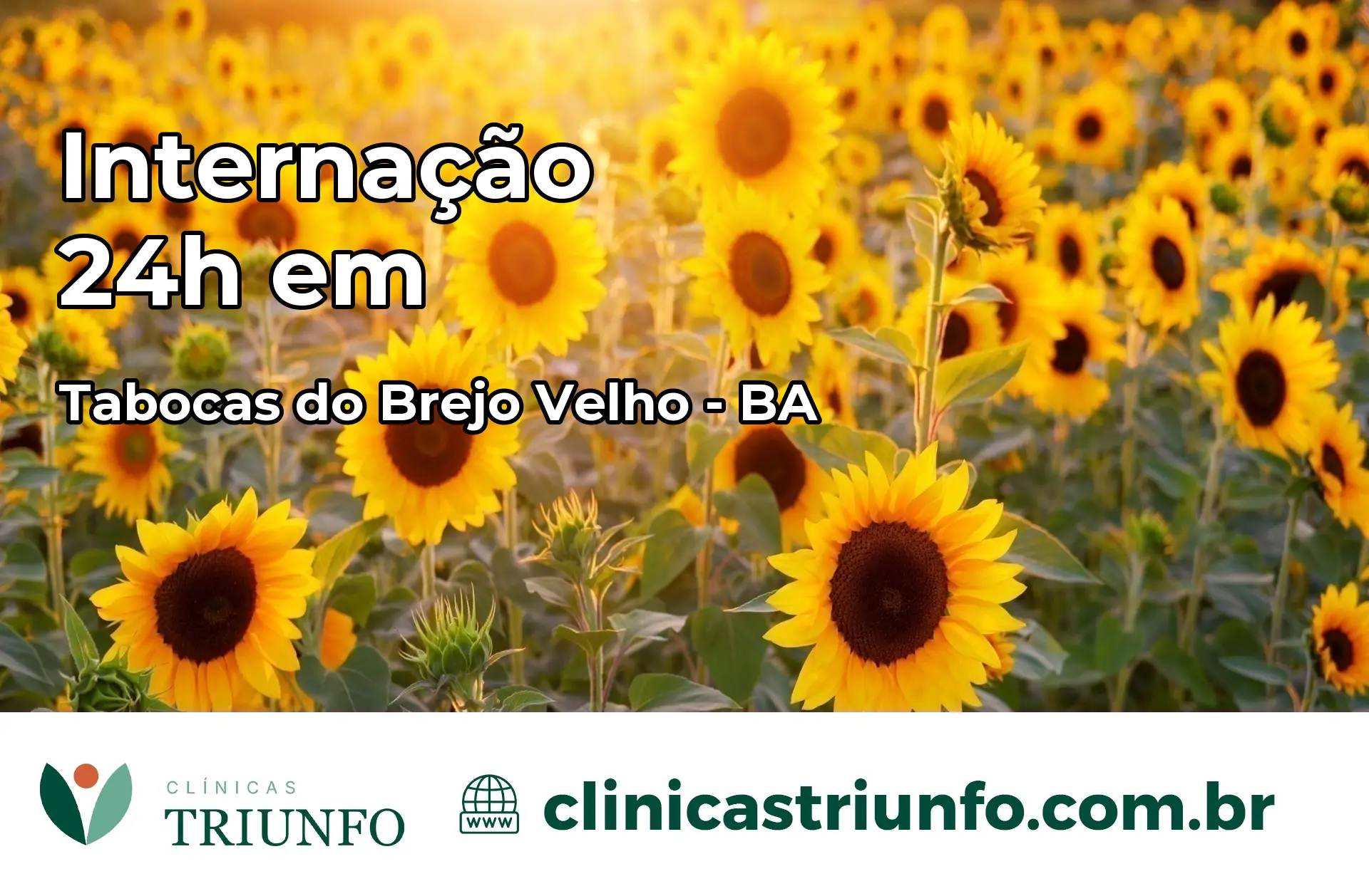 Internação 24 horas em Tabocas do Brejo Velho – BA