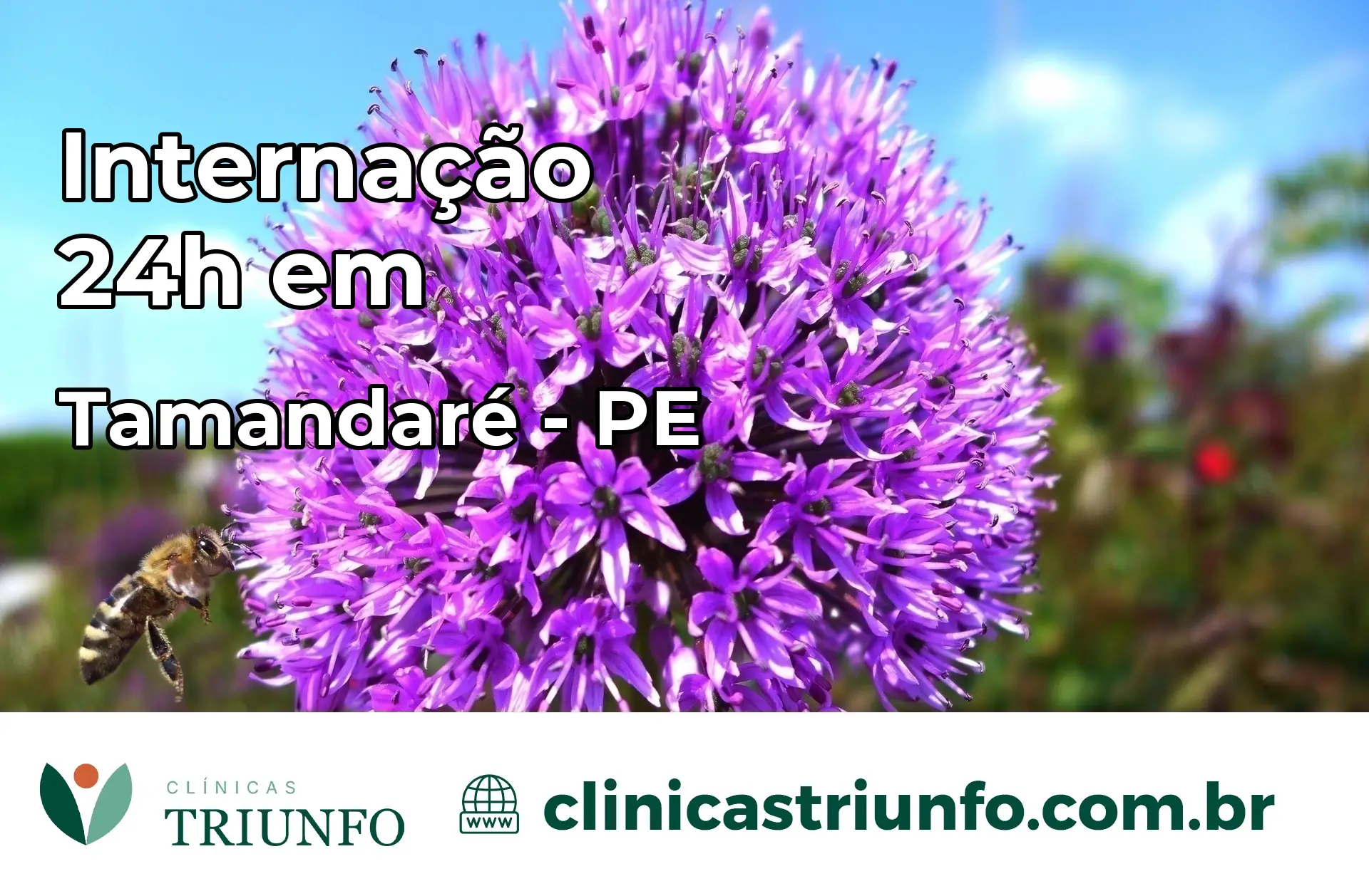 Internação 24 horas em Tamandaré – PE