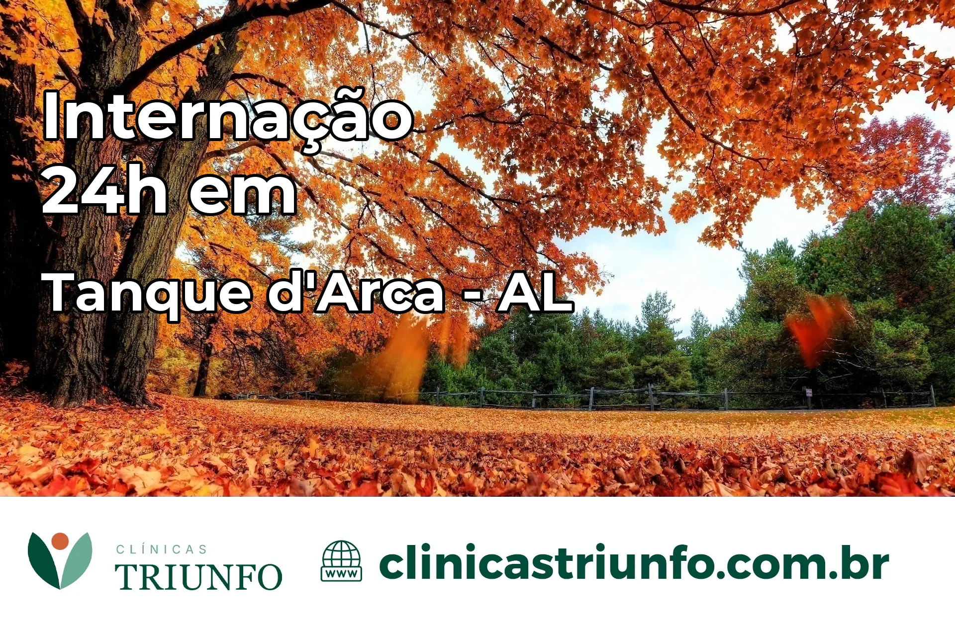 Internação 24 horas em Tanque d'Arca – AL