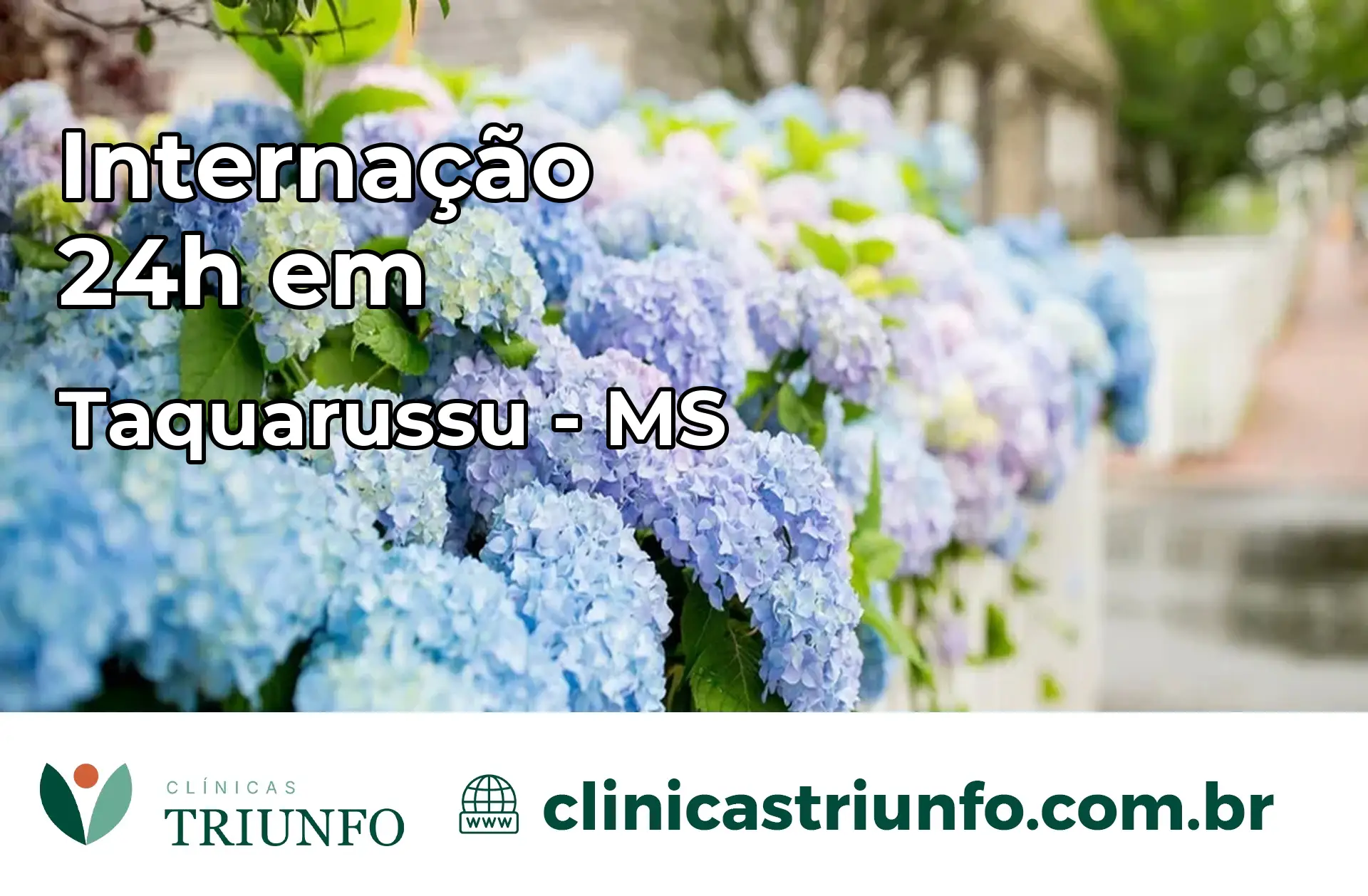 Internação 24 horas em Taquarussu – MS
