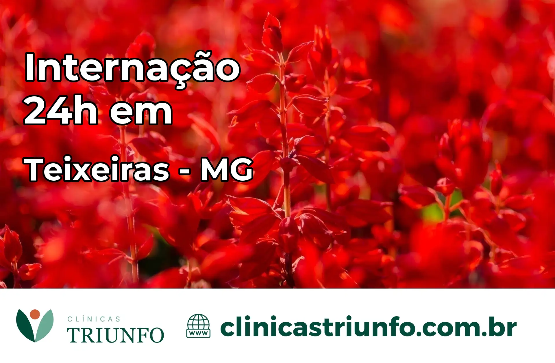 Internação 24 horas em Teixeiras – MG