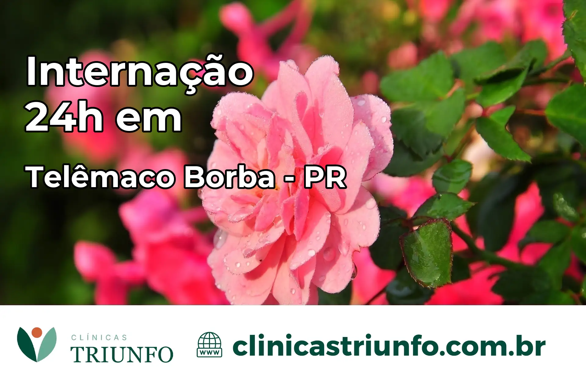 Internação 24 horas em Telêmaco Borba – PR