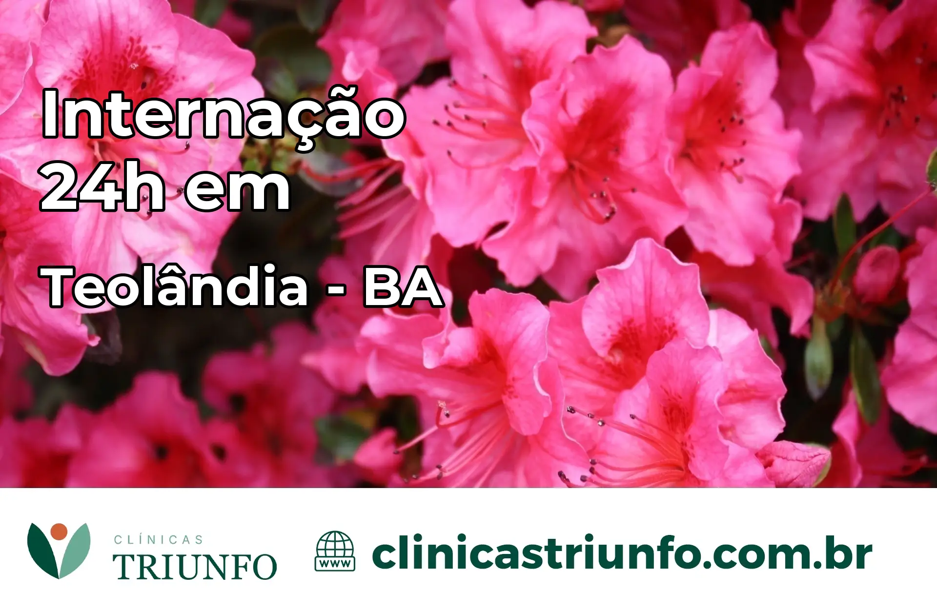 Internação 24 horas em Teolândia – BA