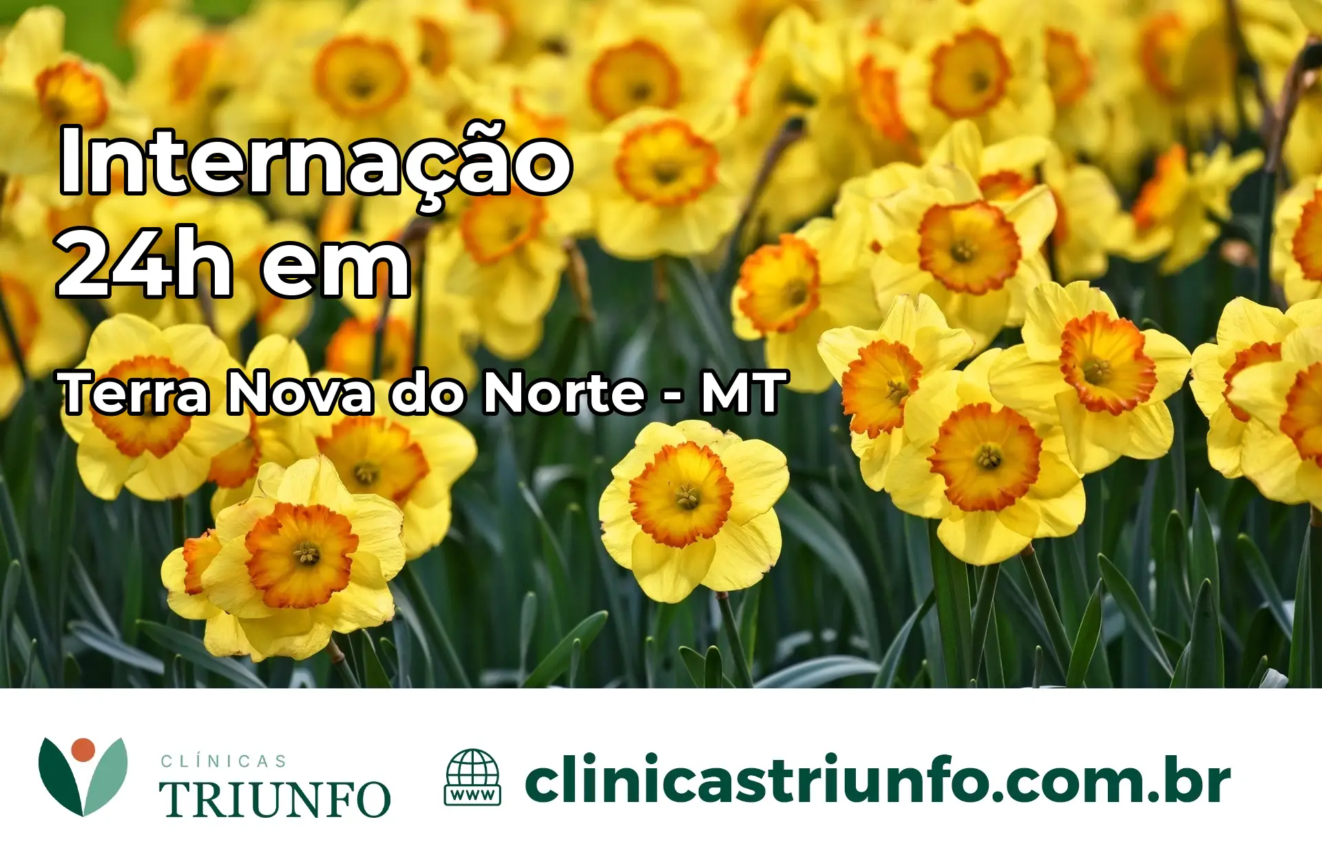 Internação 24 horas em Terra Nova do Norte – MT