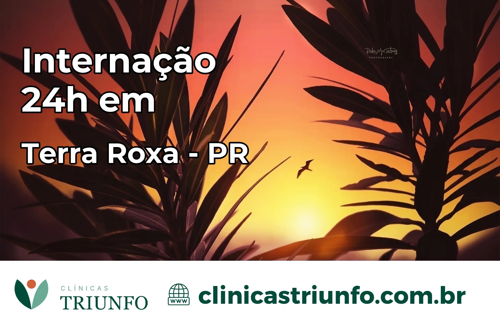 Internação 24 horas em Terra Roxa – PR