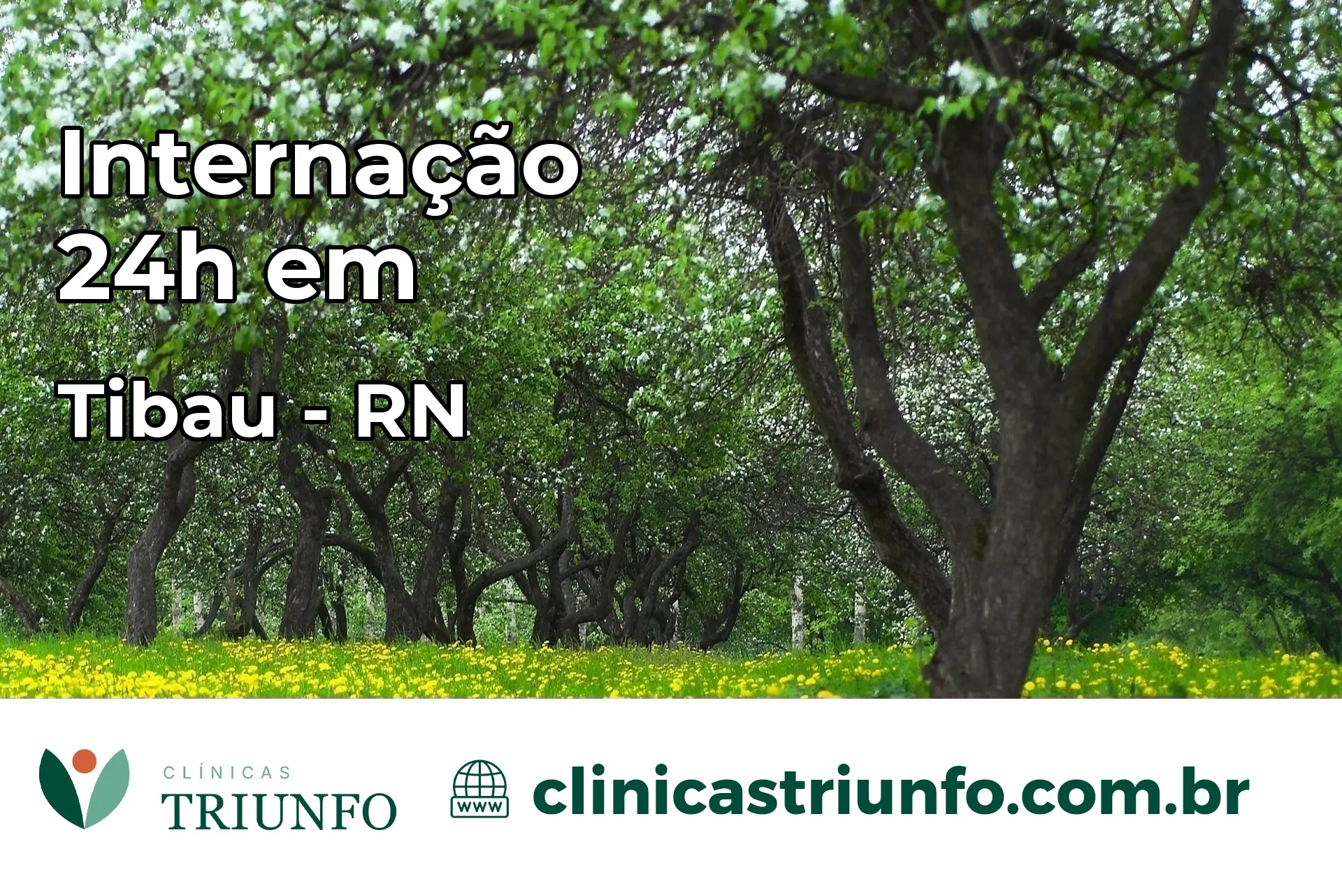 Internação 24 horas em Tibau – RN