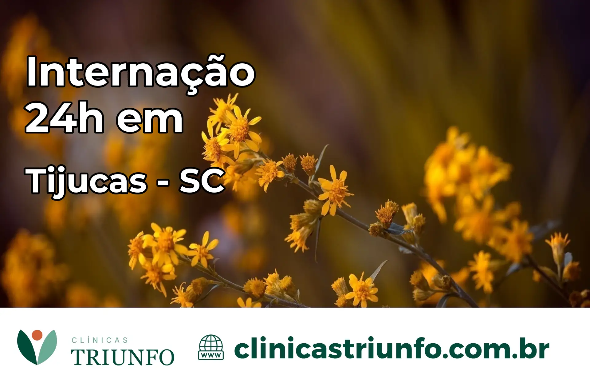 Internação 24 horas em Tijucas – SC