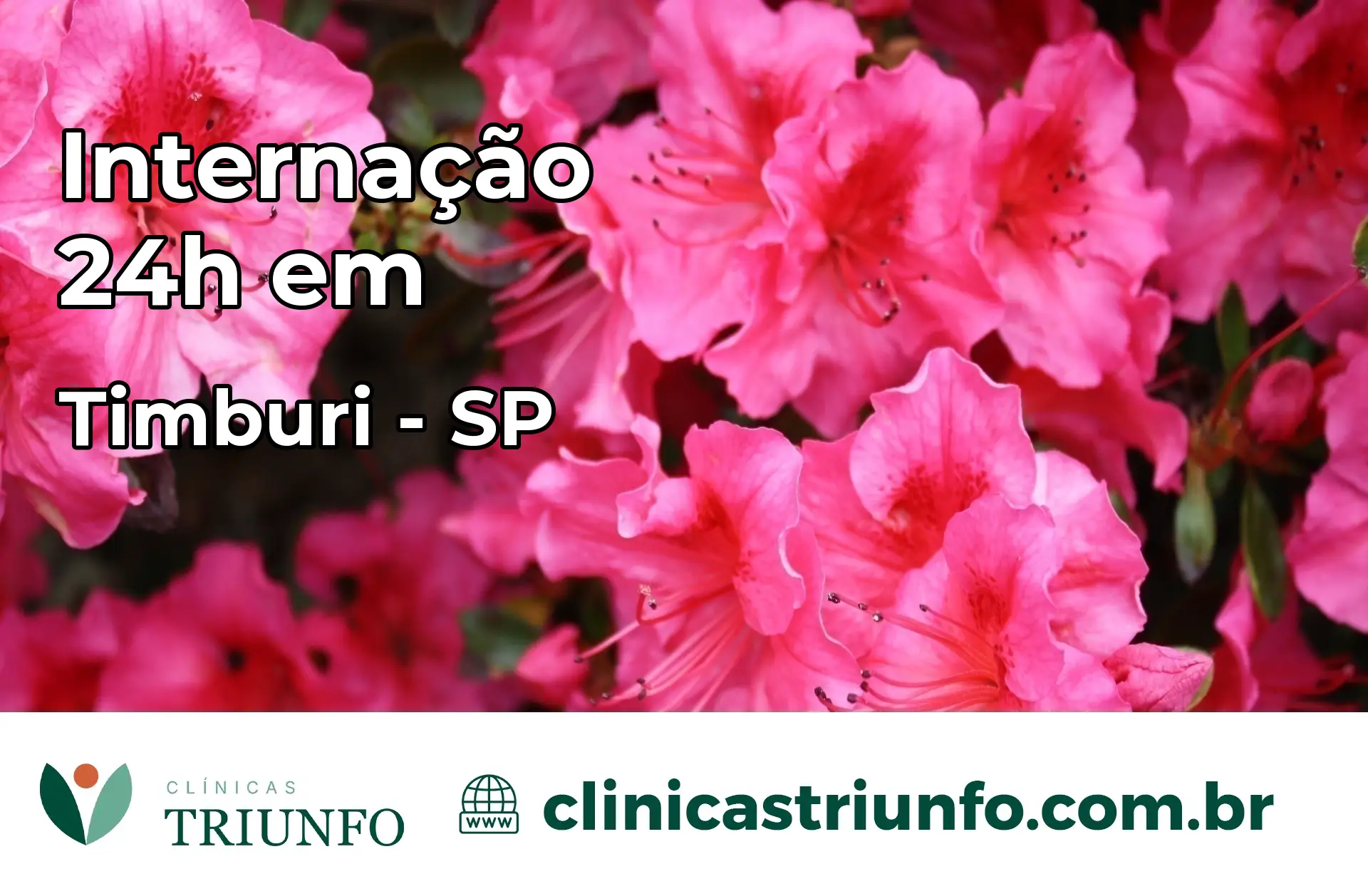 Internação 24 horas em Timburi – SP