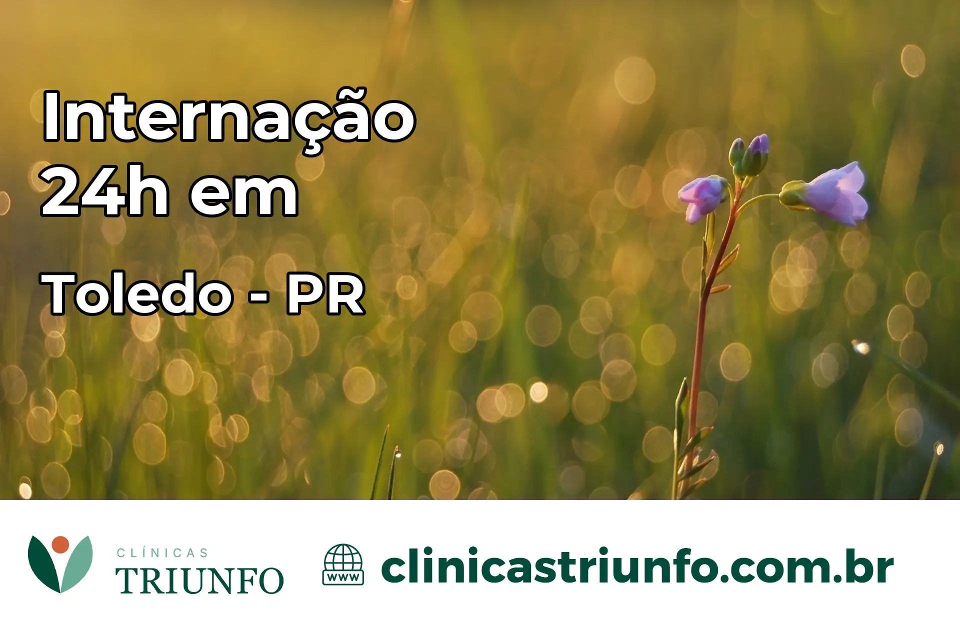 Internação 24 horas em Toledo – PR