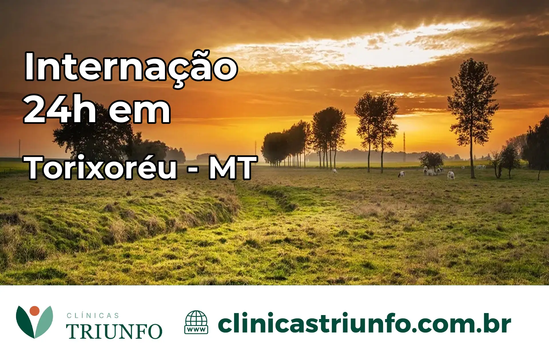 Internação 24 horas em Torixoréu – MT