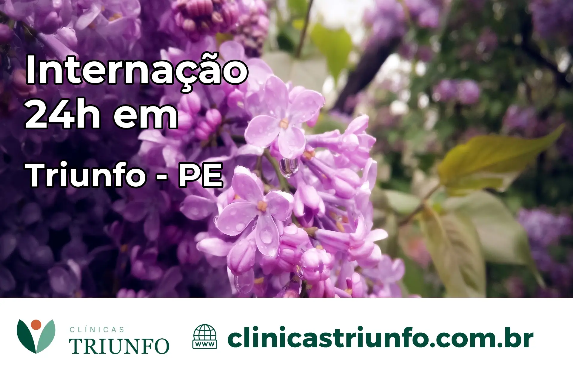 Internação 24 horas em Triunfo – PE