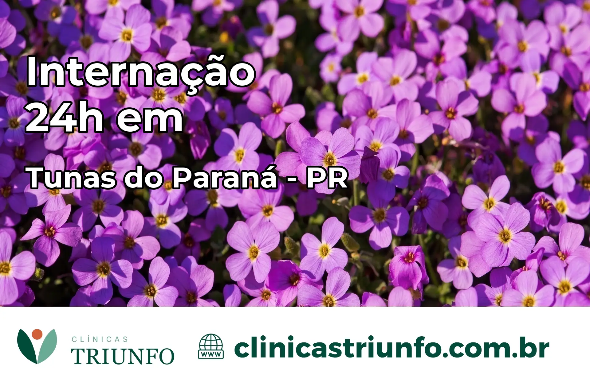 Internação 24 horas em Tunas do Paraná – PR