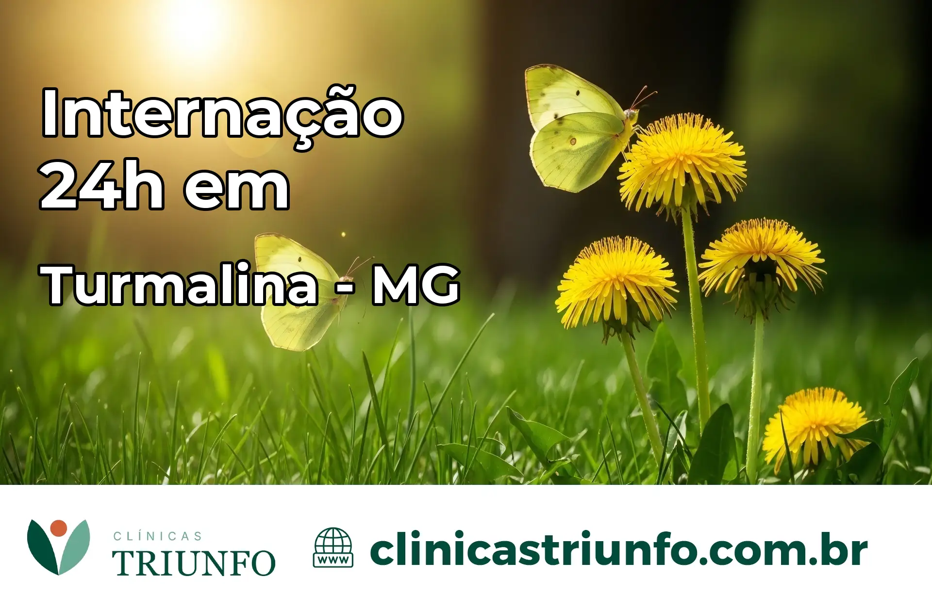 Internação 24 horas em Turmalina – MG