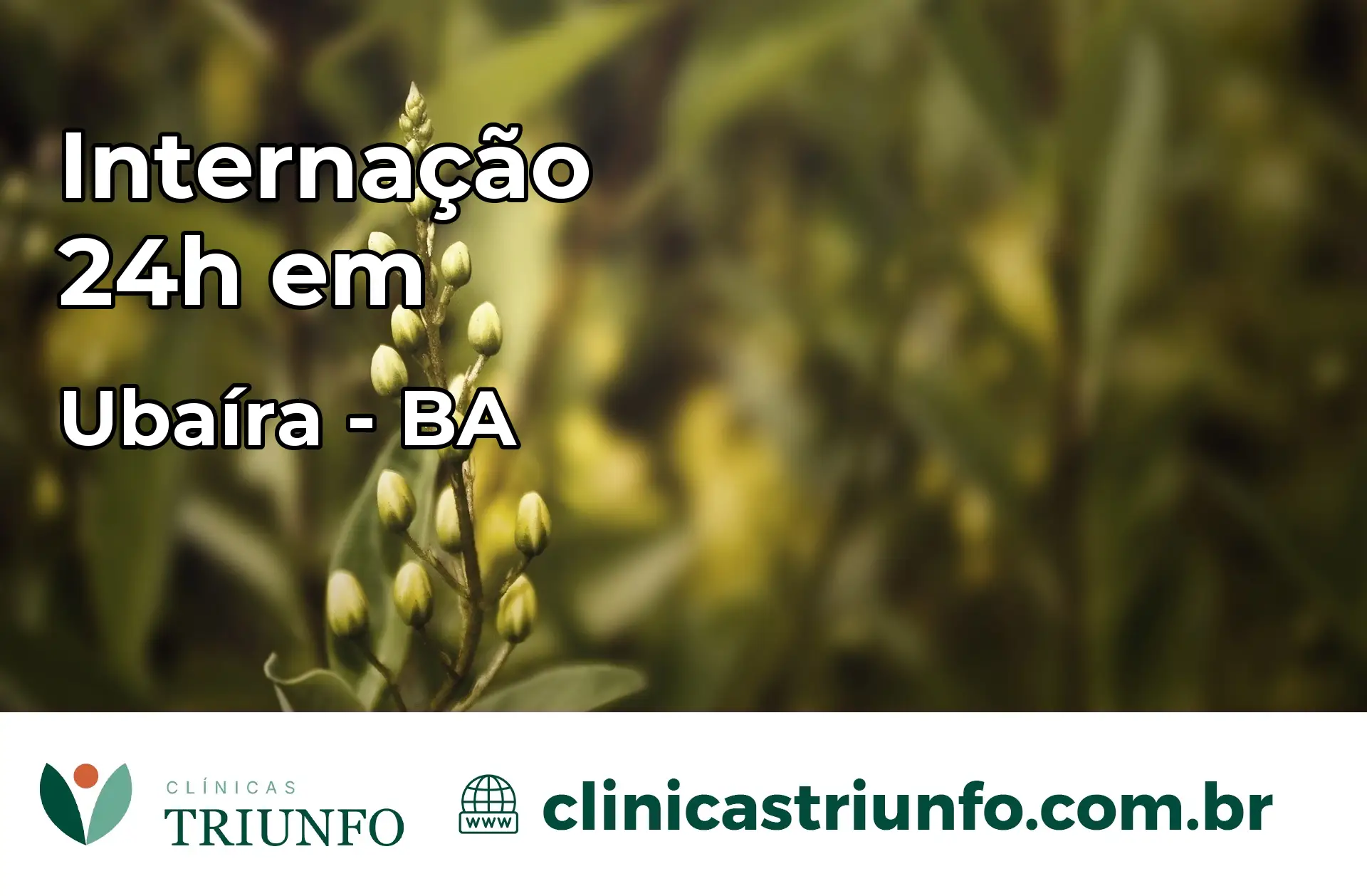 Internação 24 horas em Ubaíra – BA