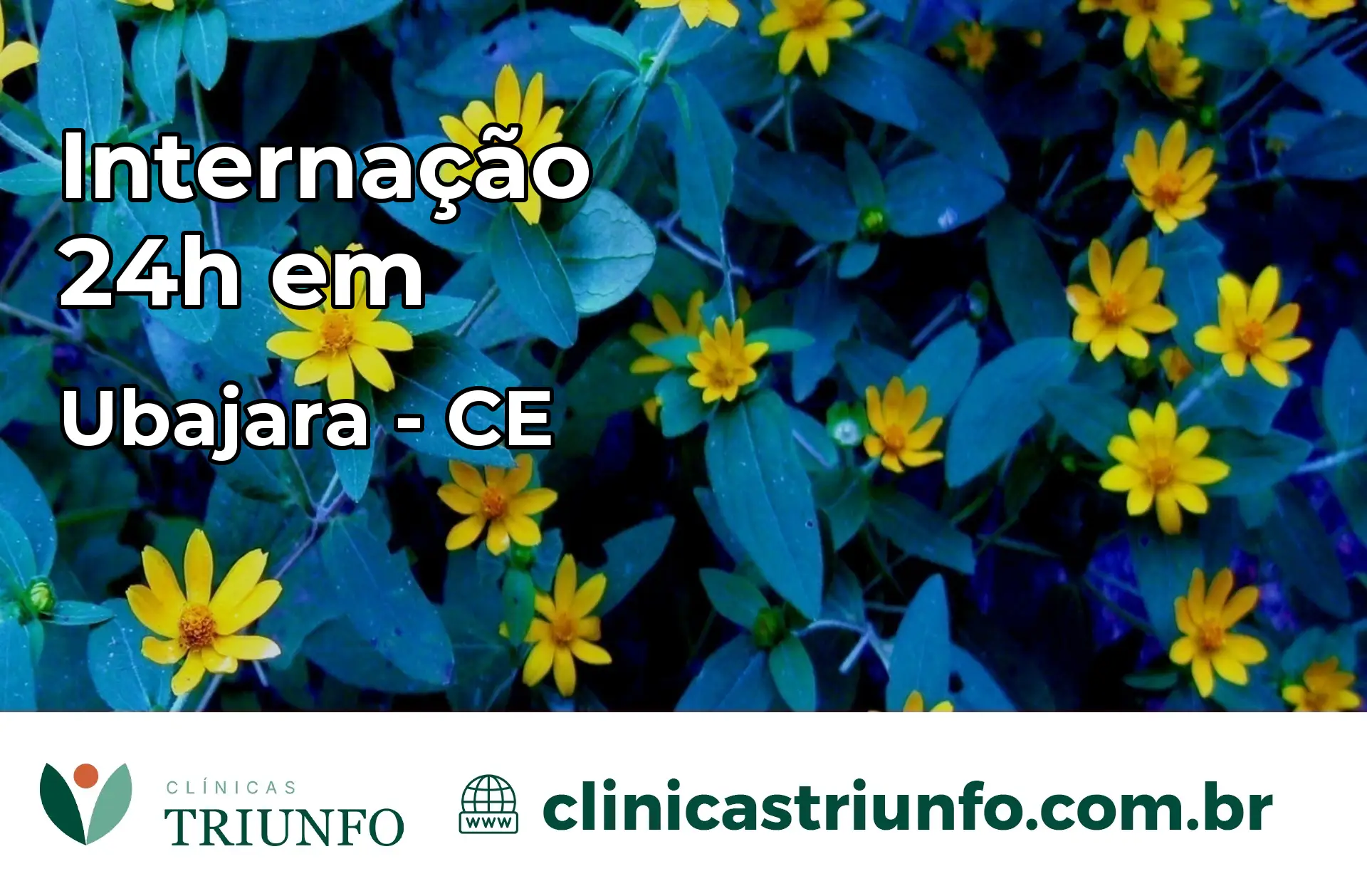 Internação 24 horas em Ubajara – CE