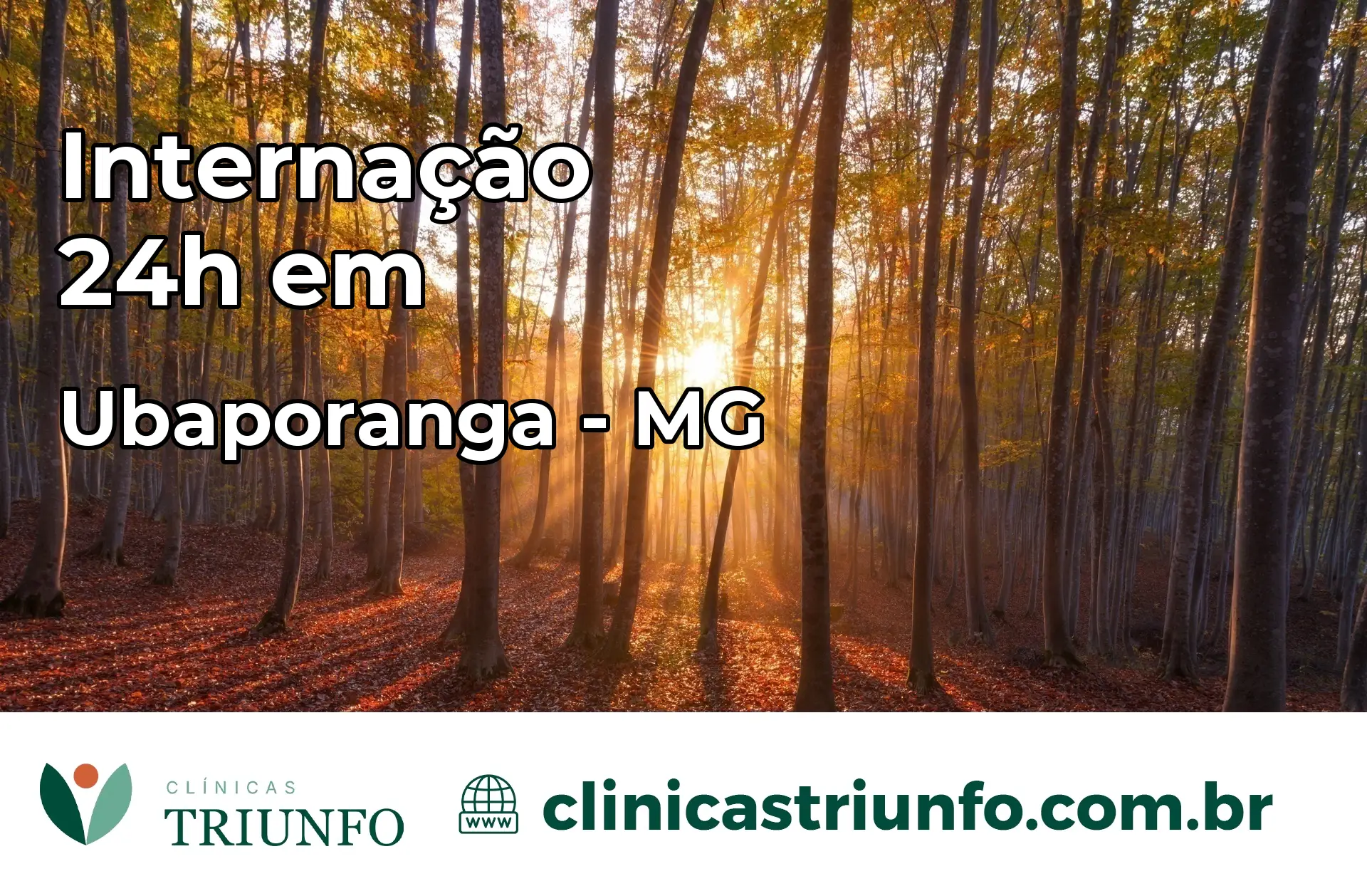 Internação 24 horas em Ubaporanga – MG