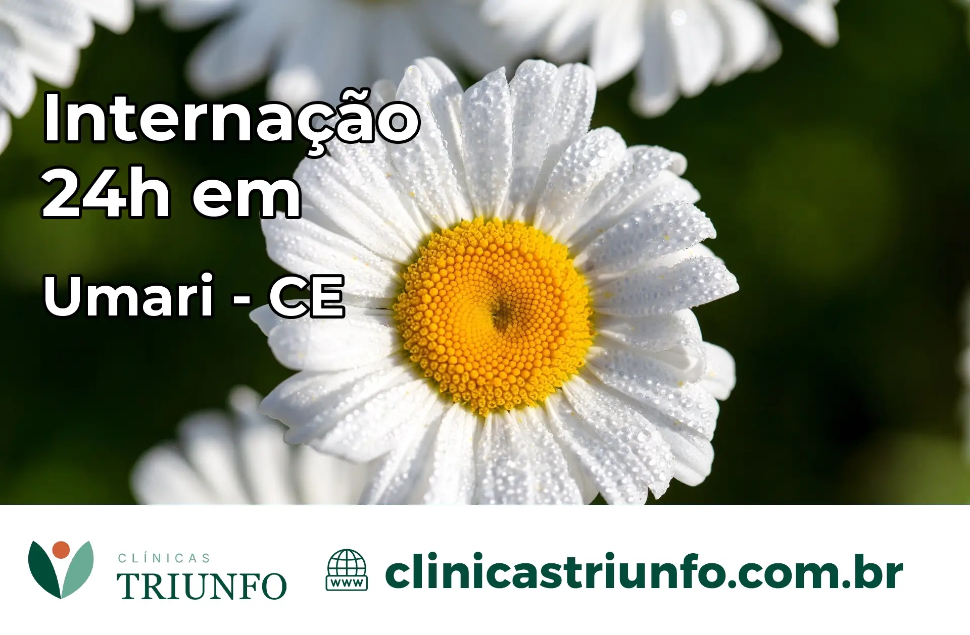 Internação 24 horas em Umari – CE