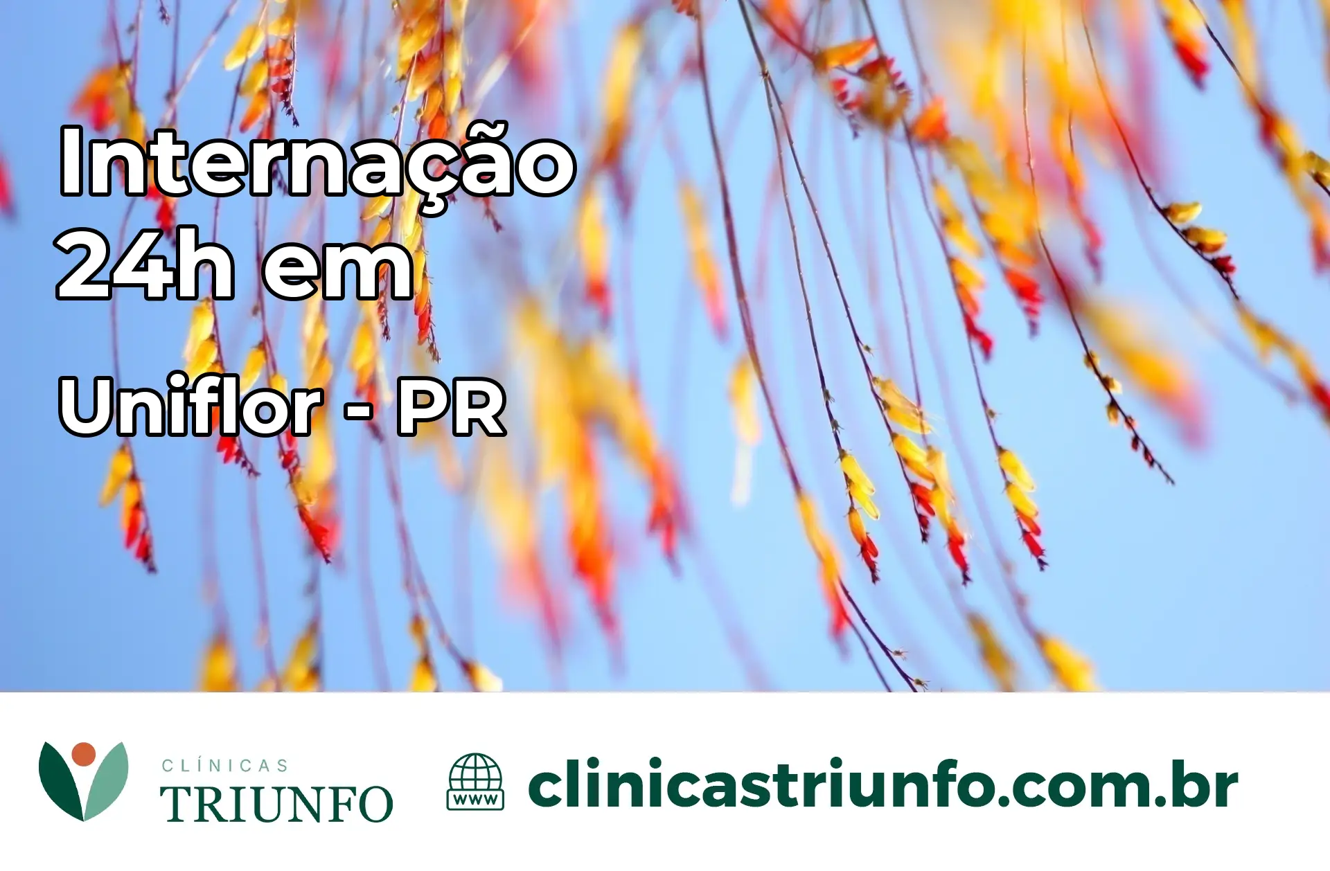 Internação 24 horas em Uniflor – PR