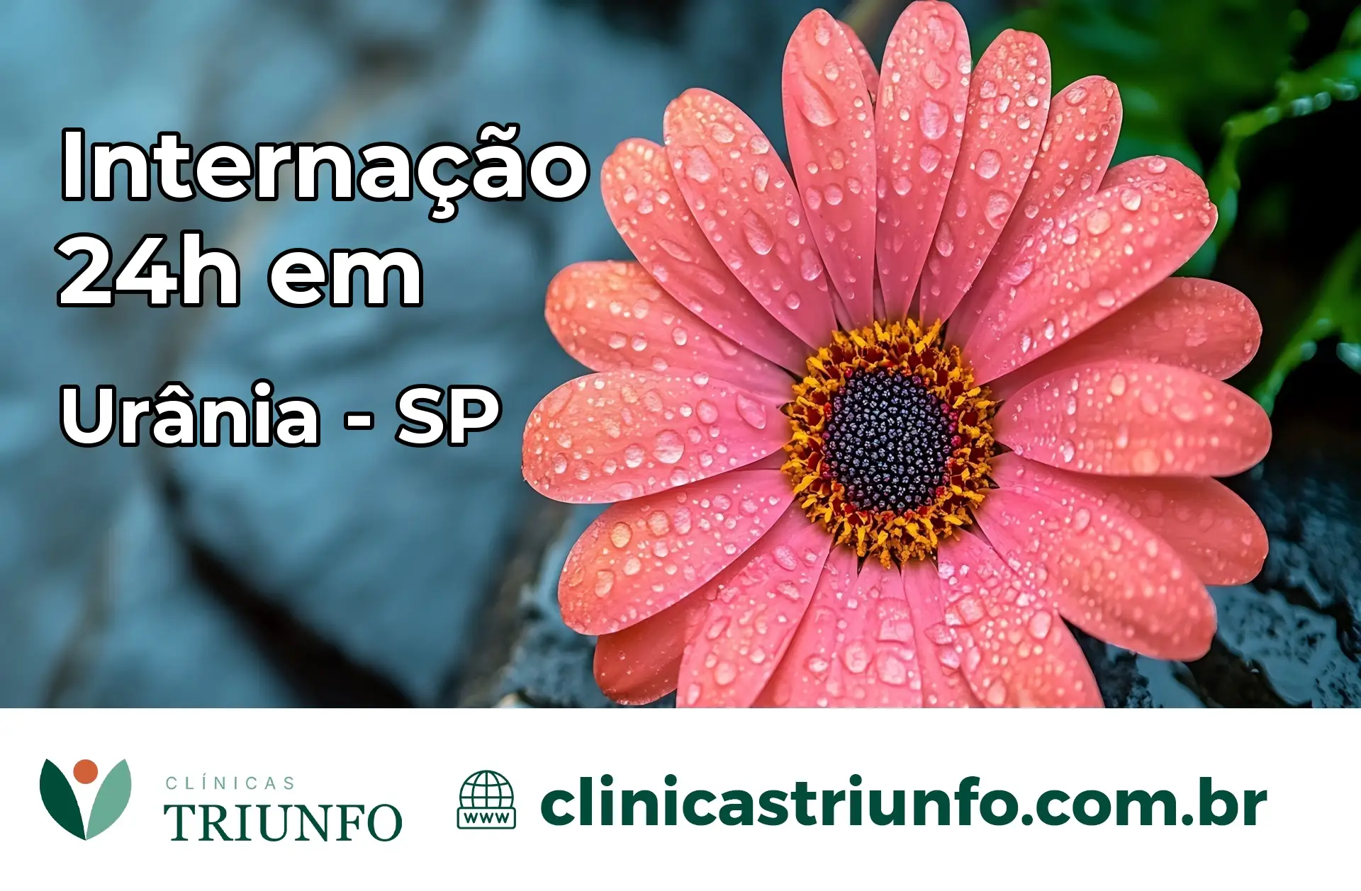 Internação 24 horas em Urânia – SP