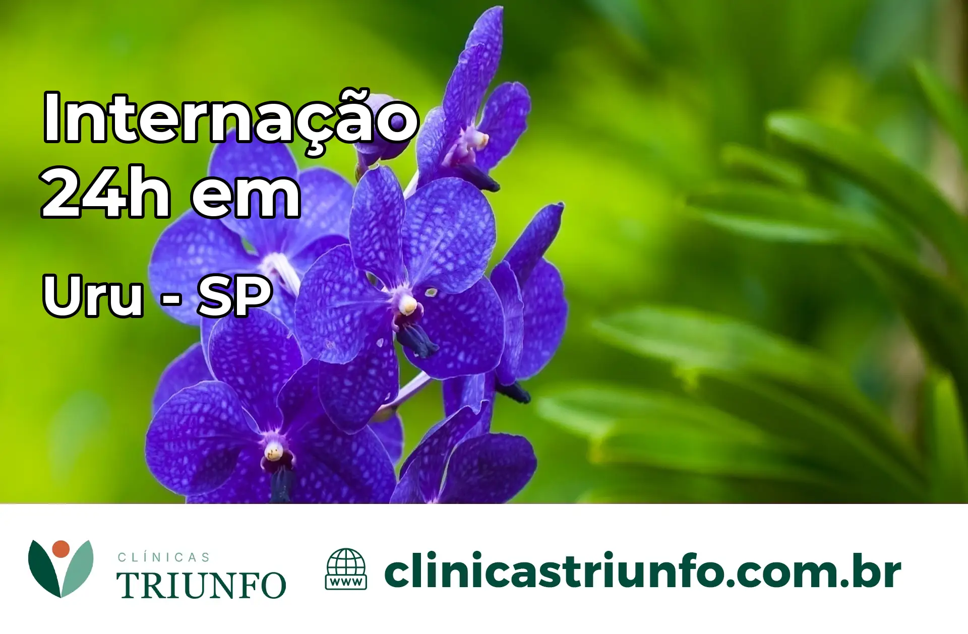 Internação 24 horas em Uru – SP
