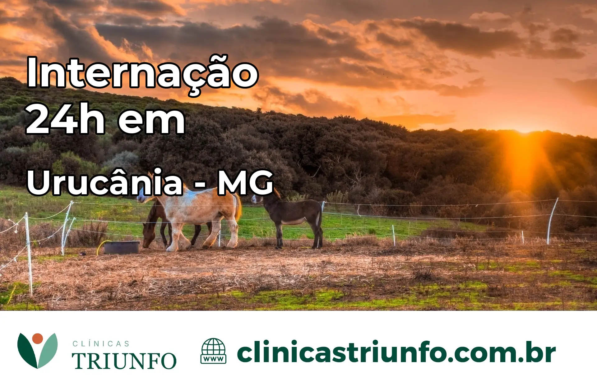 Internação 24 horas em Urucânia – MG
