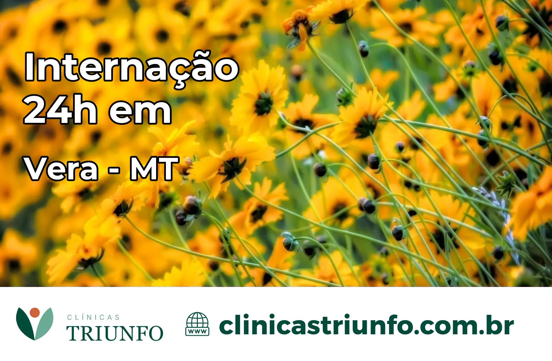 Internação 24 horas em Vera – MT