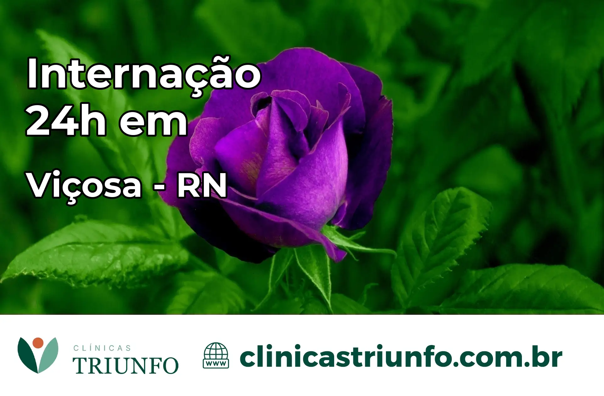 Internação 24 horas em Viçosa – RN