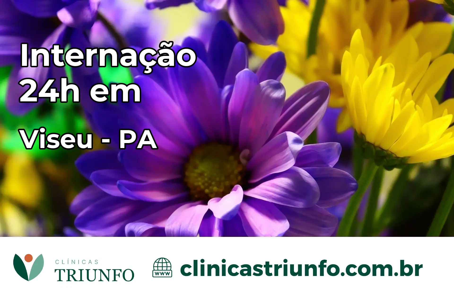 Internação 24 horas em Viseu – PA
