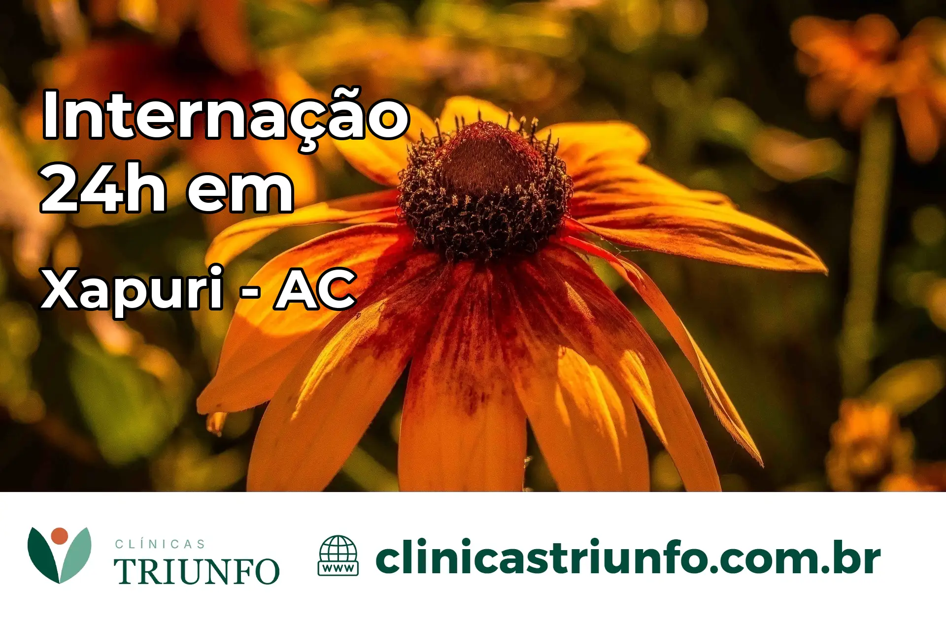 Internação 24 horas em Xapuri – AC
