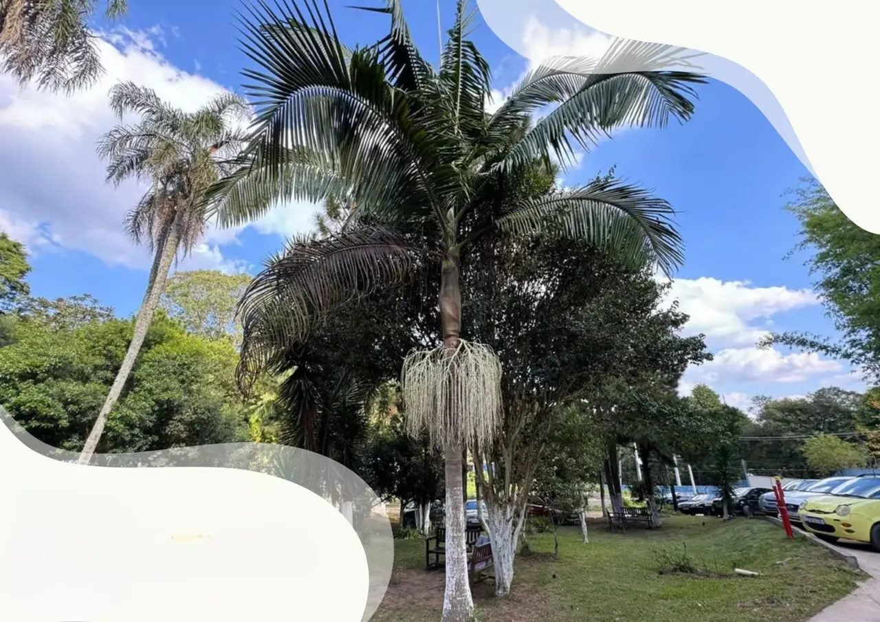 Unidade da rede parceira