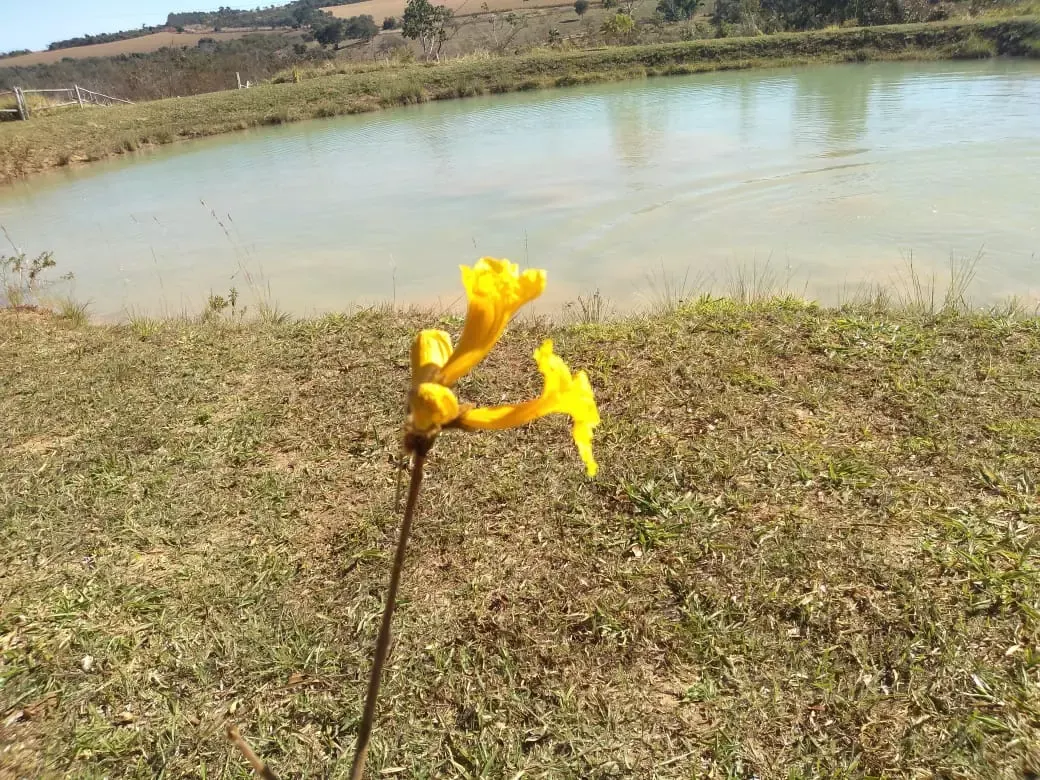 Unidade da rede parceira