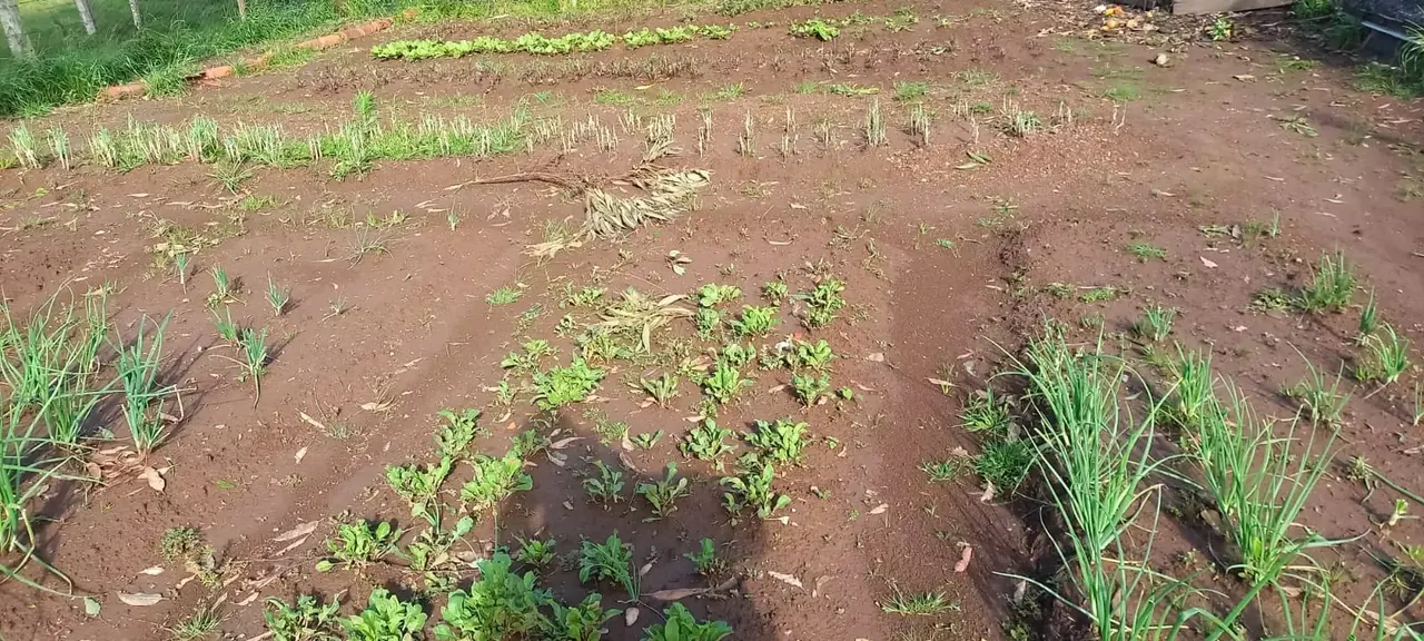 Unidade da rede parceira