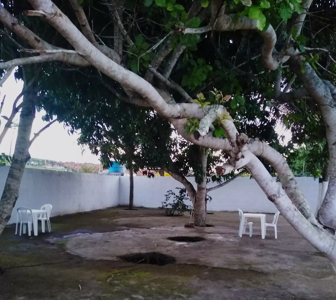 Unidade da rede parceira