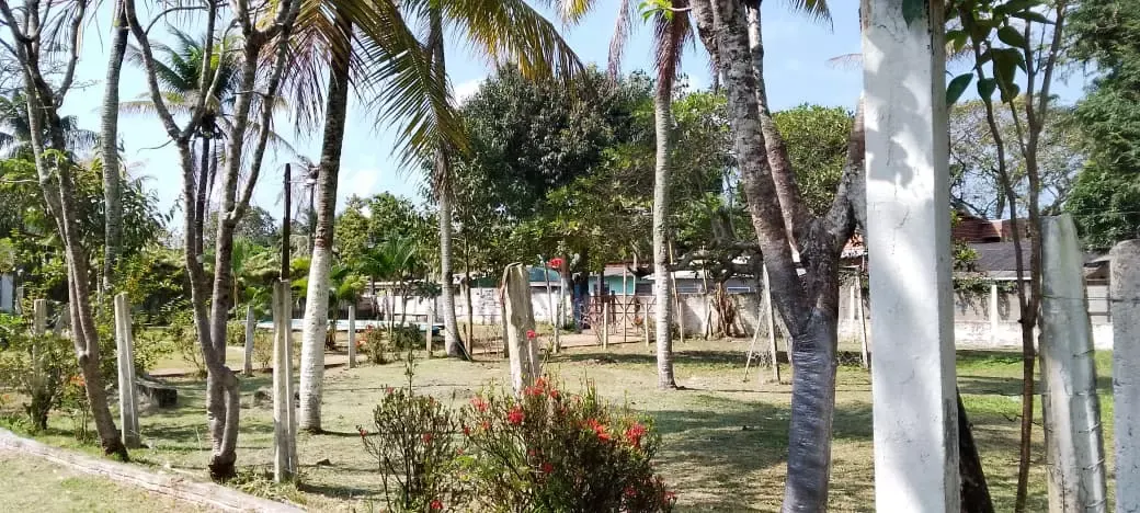 Unidade da rede parceira