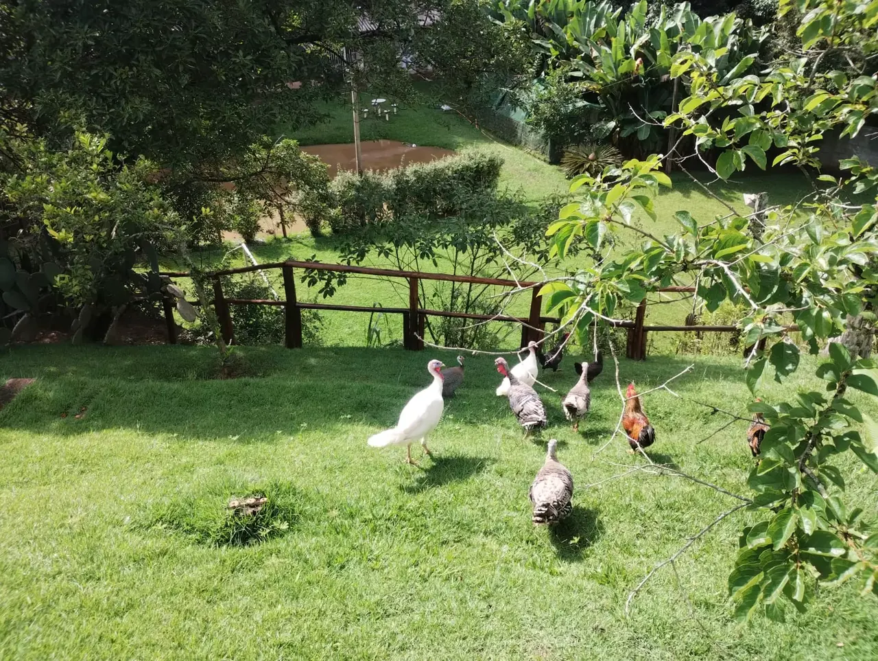 Unidade da rede parceira