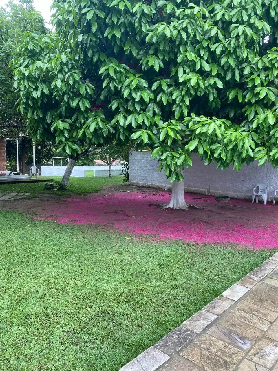 Unidade da rede parceira