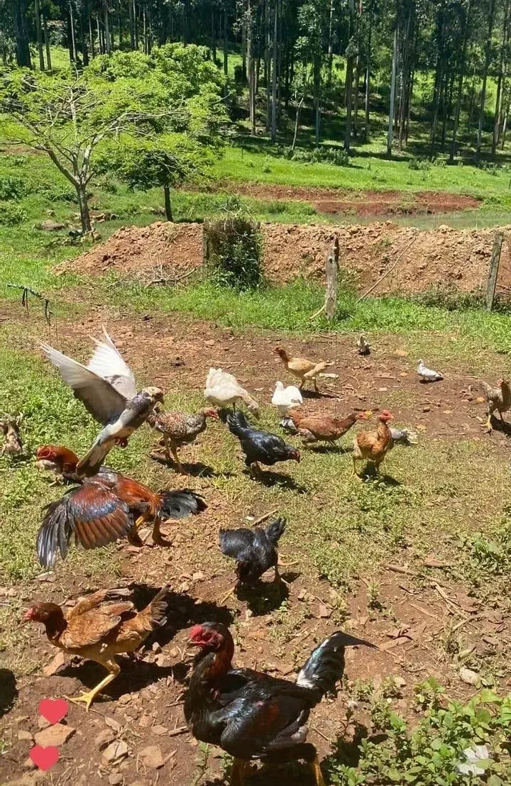 Unidade da rede parceira