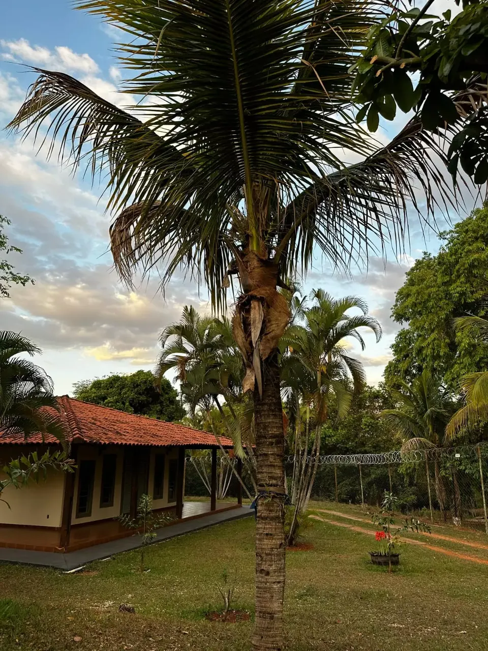 Unidade da rede parceira