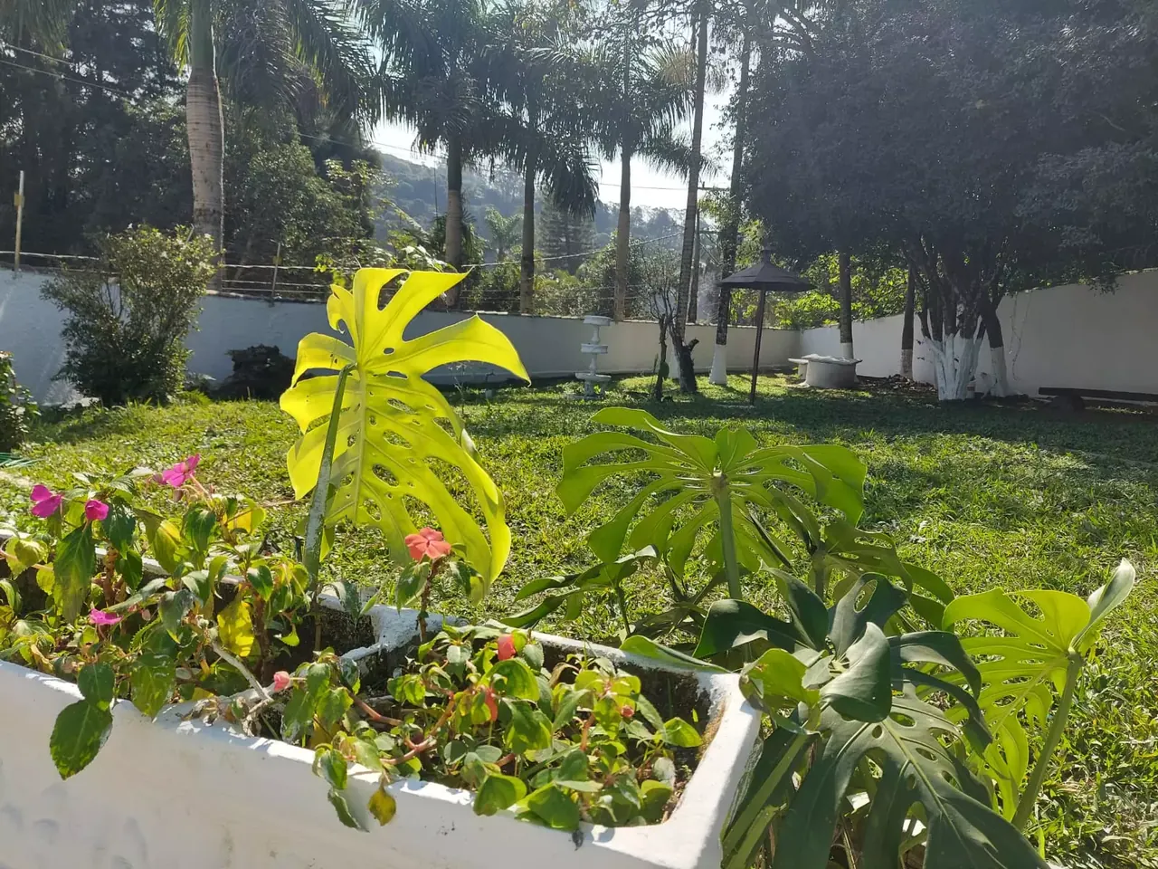 Unidade da rede parceira