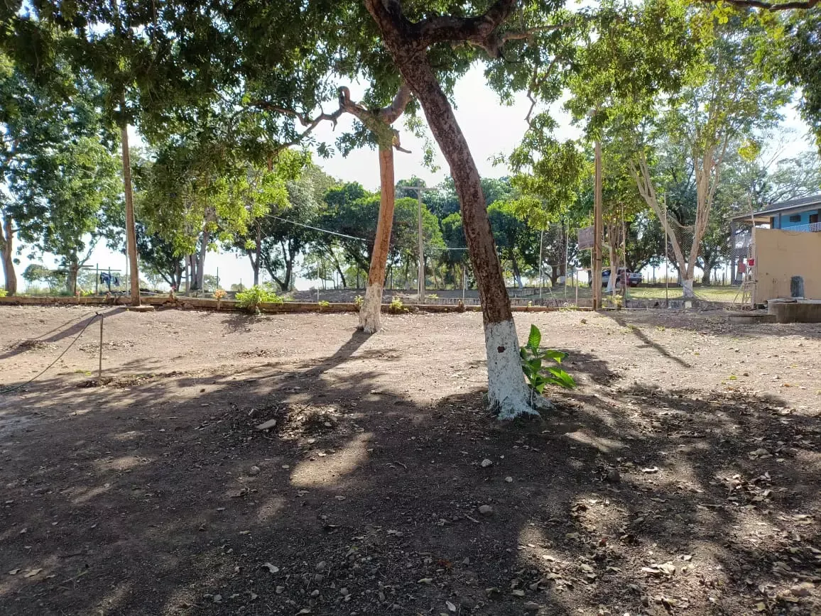 Unidade da rede parceira