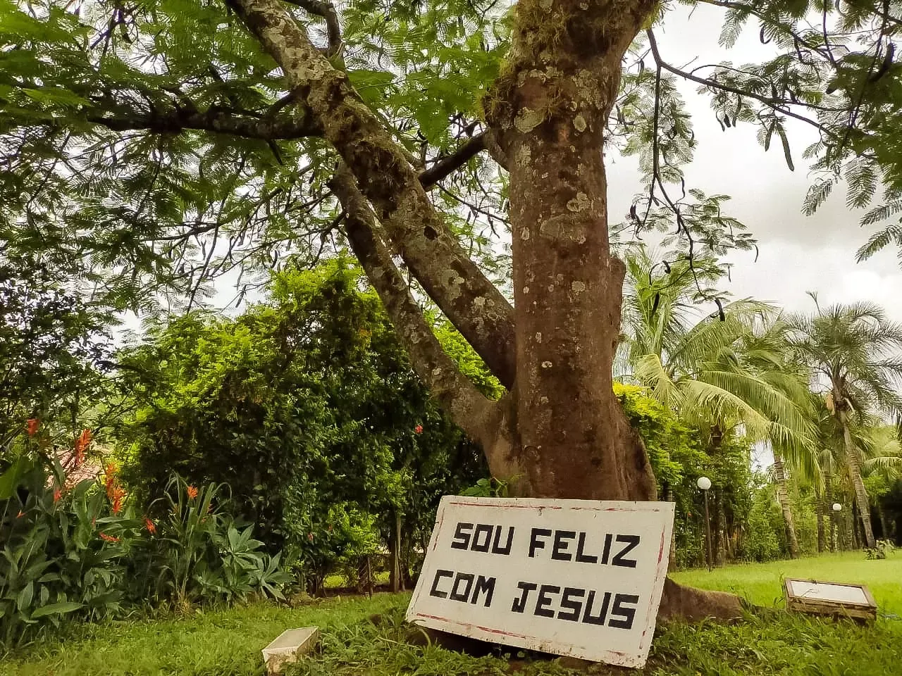Unidade da rede parceira