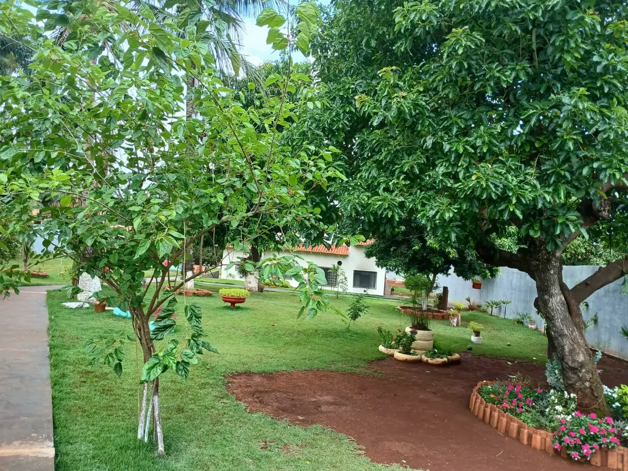 Unidade da rede parceira