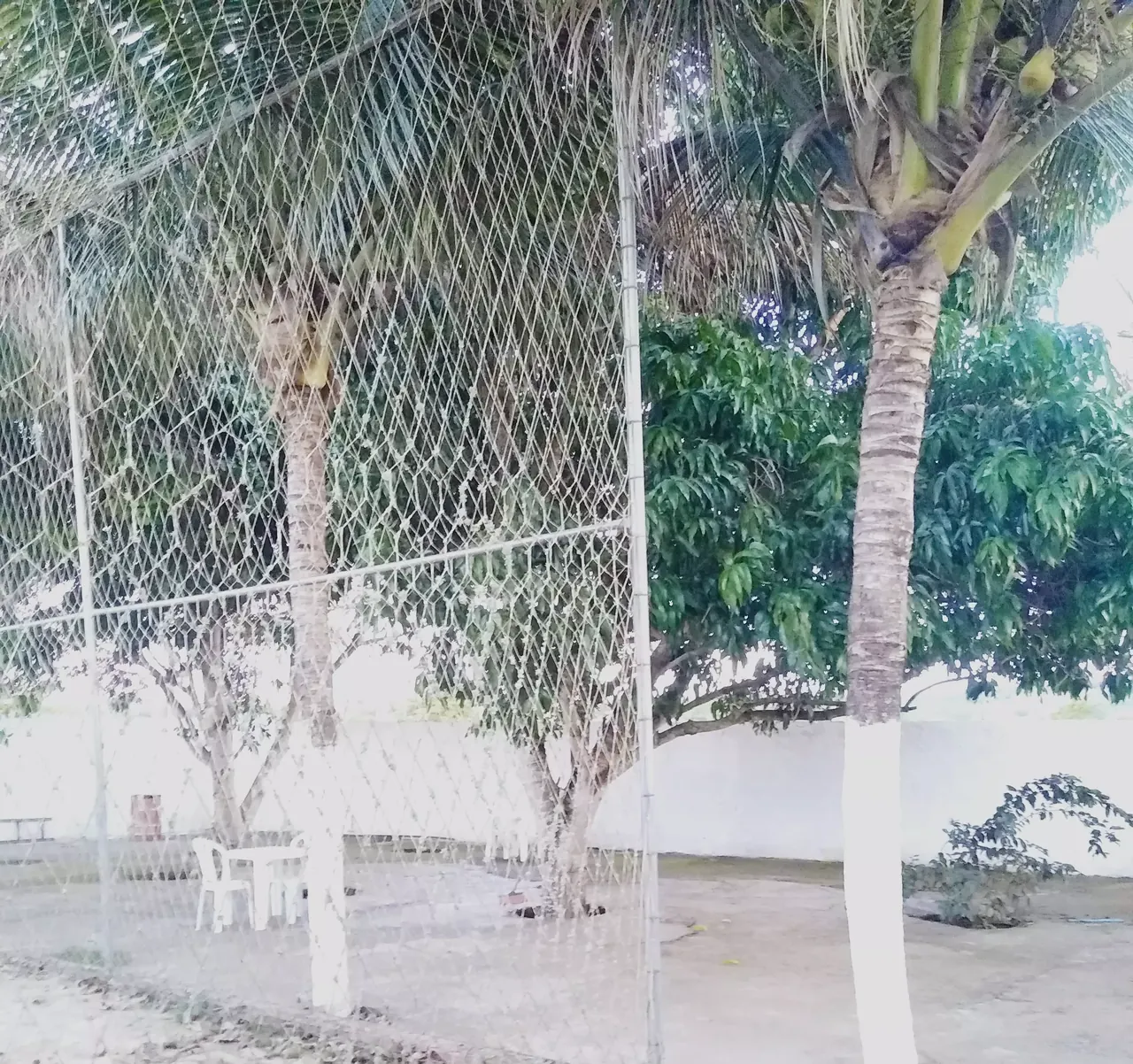 Unidade da rede parceira