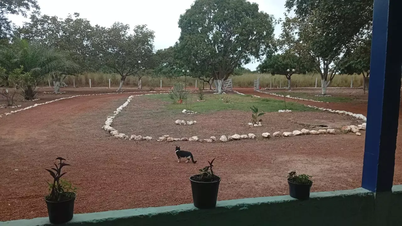 Unidade da rede parceira